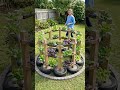 Turn old tires and plastic into a stunning vertical garden! 🌿🛞