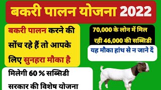बकरी पालन के लिए सरकार दे रही 60% की सब्सिडी🔥Goat Forming Loan Subsidy upto 60%On 70 Thousand Loan - YouTube