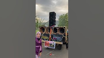 Sound system rcd audio 4 sub planar + 4 line array