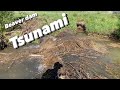 Beaver dam removal compilation tsunami