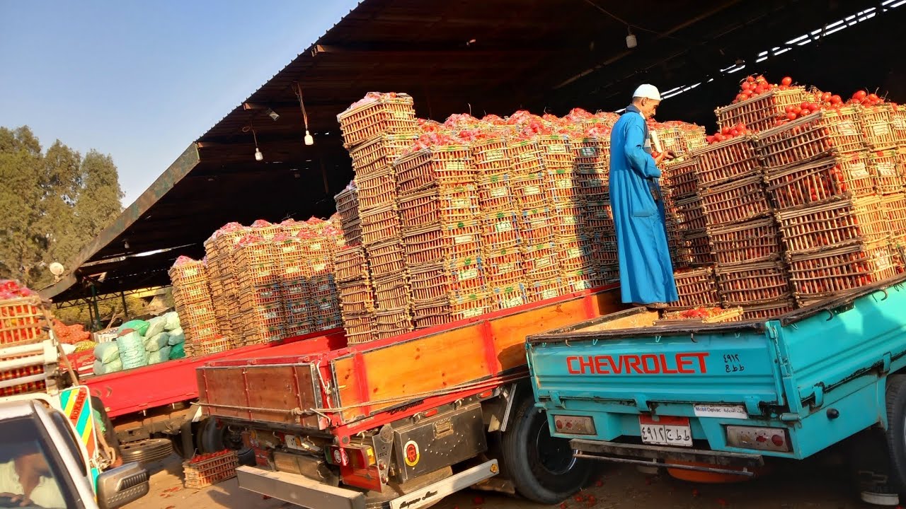  #عاجل وهام شوف ايه اسعار الخضار  اليوم فى سوق الجمله 