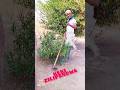 KEKI ZILIPENDWA THE ABELLY MACOMPYUTER TZ2025 KEKI ZILIPENDWA THE ABELLY MACOMPYUTER TZ2025