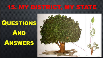 4th Std - EVS 1 - Chapter 15 My district my state questions answers exercise - Maharashtra board