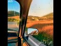 كبرنا وعقلنا تامر حسني