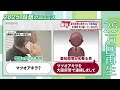 【やりとりを公開】愛知県警の番号からかかってきた電話の内容とは…　全国で急増“警察の番号”を偽装する電話 #2025話題のニュース