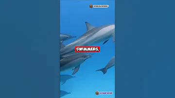 Irrawaddy Dolphin: The SMARTEST River Hunter! 🏞️🔥