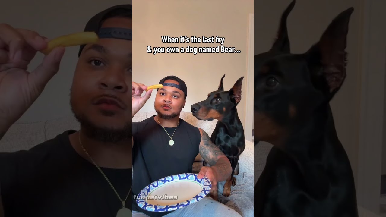When A Dog Sees Food Dogvideos Doglover Funnydog Fyp