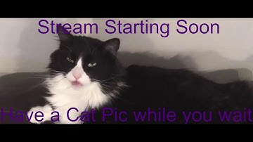 FFXIV Pandaemonium Savage Prog