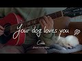 Your dog loves you - Colde (어쿠스틱 커버)