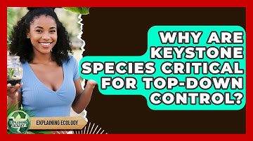 Why Are Keystone Species Critical For Top-down Control? - Explaining Ecology