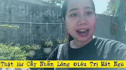 Trị Dứt Chứng Mất Ngủ -Ngủ Không sâu giấc , Với Cây Nhãn Lồng( Lạc Tiên hay cây Chùm Bao) Hiệu Quả