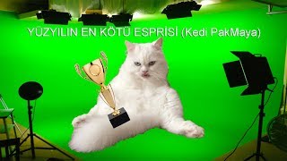 Yüzyılın En Kötü Esprisi (Kedi PakMaya) by Maya Cat TV 358 views 5 years ago 53 seconds