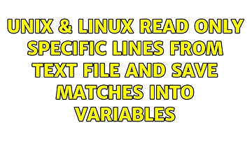 Unix & Linux: Read only specific lines from text file and save matches into variables
