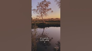 "إنما أشكو بثي وحزني إلى الله "🤲🧡 القارئ -محمد هشام