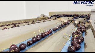 Novatec S.A. - Sorting & Packing Line for Cherries