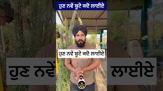 Punjab Ch Planting Da Sahi Time 🌱