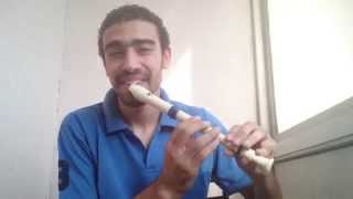 Pirates of the Caribbean - Recorder Beatbox - Medhat Mamdouh