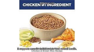 Hill's Science Diet Small & Mini Dog Food Review: Is It Worth the Premium Price?
