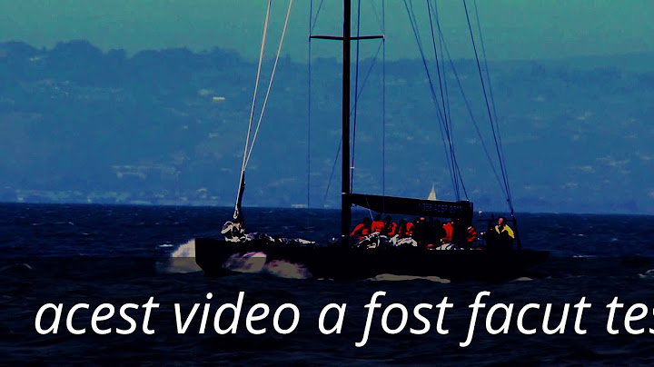 videoclipuri