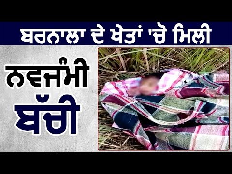 Barnala के खेतों में मिली New Born बच्ची