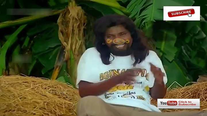 நான் அப்பவே சொன்னாலே இந்த நாயா கூட்டிட்டு வர வேணான்னு இங்க வந்து என்ன பன்னுது பாரு || #VADIVELU
