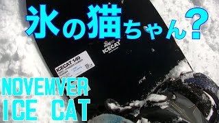 ICE CAT NOVEMBER  パウダーおすすめ 19-20スノーボード試乗会【虫くんch】
