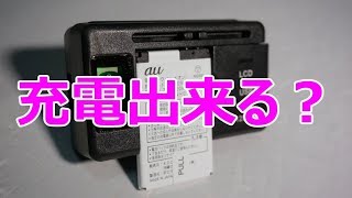 使える？「LCDマルチバッテリー充電器」買ってみた