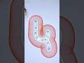 Le 4 transformé en symbole d’art pur #SpirographFRS #spirograph  #relaxing #ASMR #4
