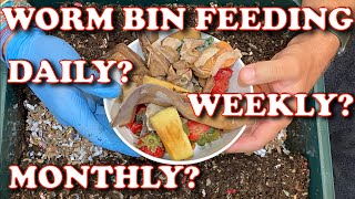How Often Should You Feed Your Worm Bin?   Vermicompost Worm Farm