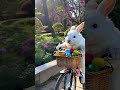 Cute white rabbit in protective helmet riding Easter bicycle against spring garden background