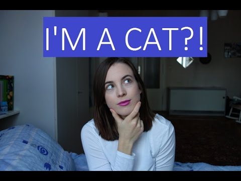 i'm-a-cat?!-//-top-7-funny-japanese-expressions