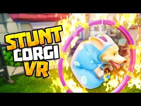 BRAVE PUPPY JUMPS THROUGH RING OF FIRE - Stunt Corgi VR Gameplay - VR HTC Vive Gameplay