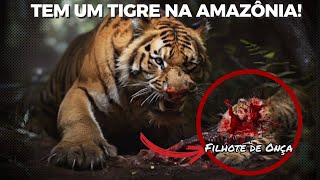 Esse ENORME TIGRE Está Na AMAZÔNIA! 😱 e É isso que Vai Acontecer #animal