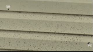 Neighbors concerned, angry after drive by shooting next door
