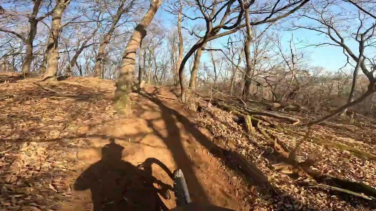 26.2.25 타잔MTB파크 뉴라인 개통전 , 아침운동