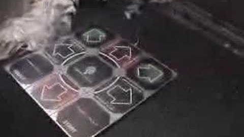 The Cobalt Flux survives!