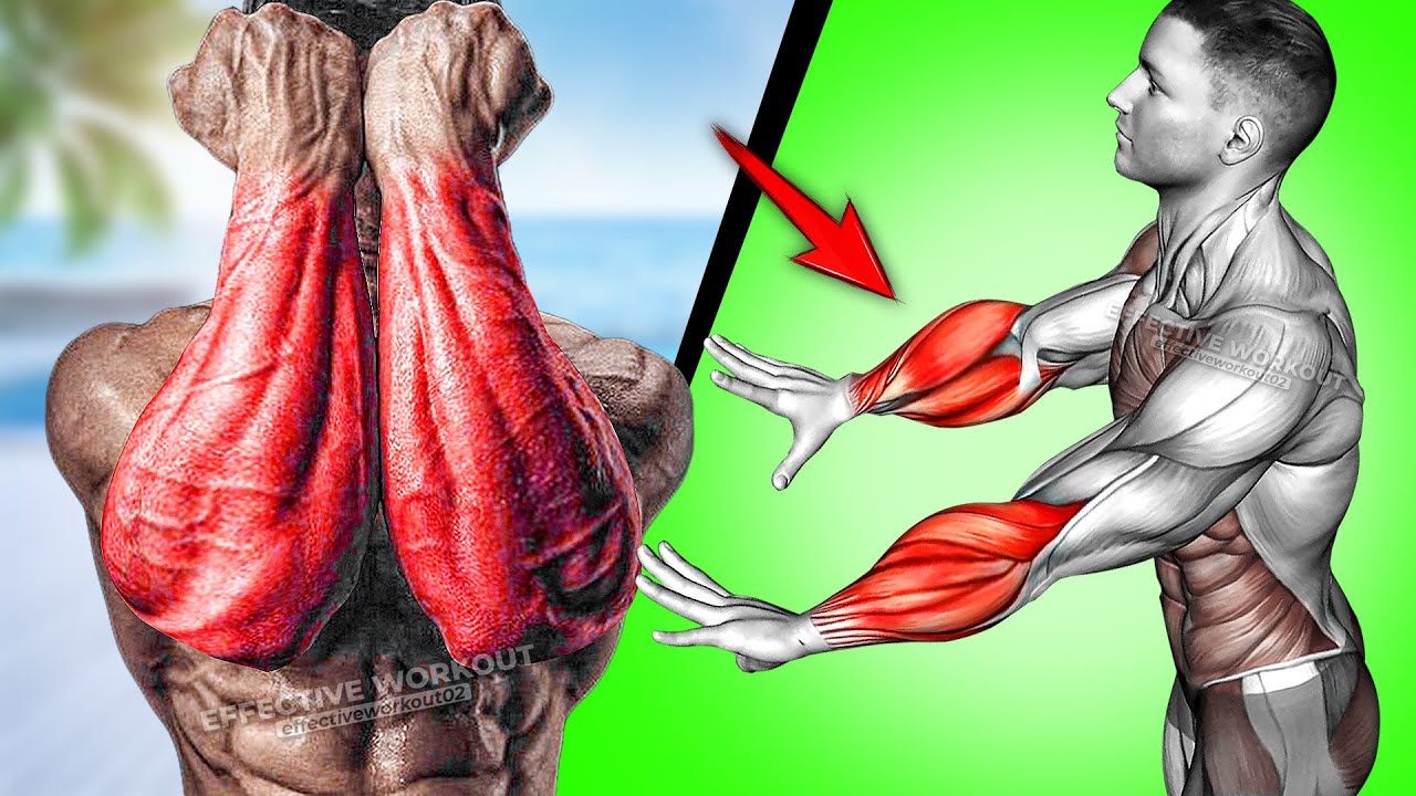 6 BEST Exercises for Bigger Forearms Workout - YouTube
