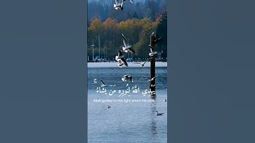 استغفر الله واتوب اليه. القارئ #شريف_مصطفى ،سورة النور. #القرآن_الكريم #القرآن #quran