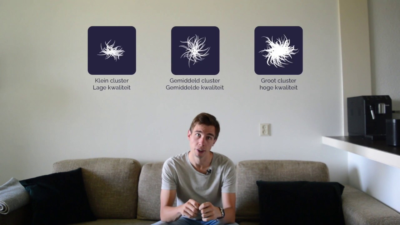 3 Verschillen tussen ganzen- en eendendons