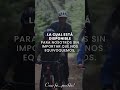 🌅 DÍA 23 DE BUENAS NOTICIAS. Cada mañana es una oportunidad para conocer a Dios en su creación