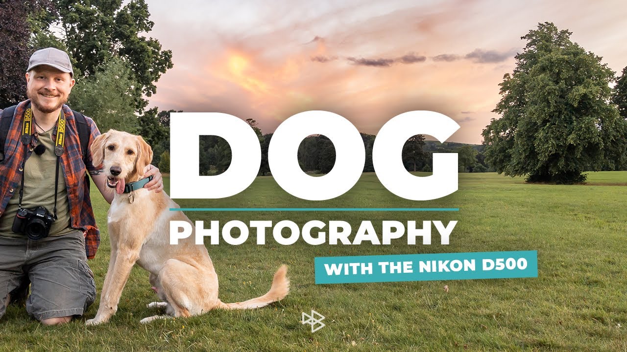 Outdoor Dog Photography with the Nikon D500 YouTube