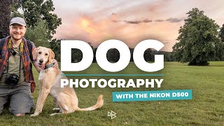 Outdoor Dog Photography with the Nikon D500