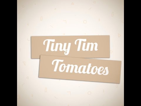 Tiny Tim Tomatoes ?