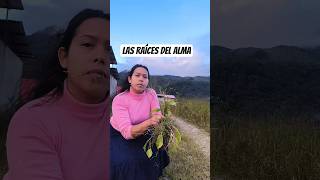 Las raíces del alma #raíces #alma #sentimientos #motivacion #derribandoargumento