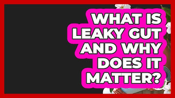 What Is Leaky Gut And Why Does It Matter? - Functional and Integrative Wellness Guru