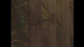 The Mechanical Universe and Beyond 37of52 Electromagnetic Induction