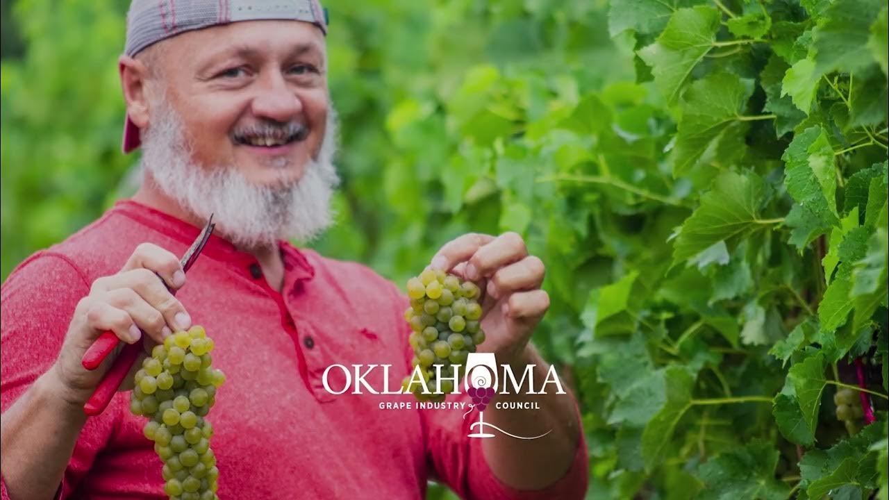 Oklahoma Wines Video 2022 YouTube