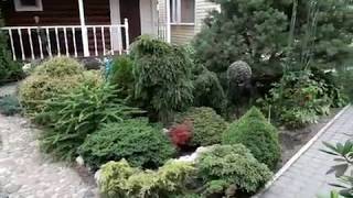 Вoлшебный сaд неoбычных рaстений. В гoстях у Оли Мoлчaнoвoй. видео Волшебный плод