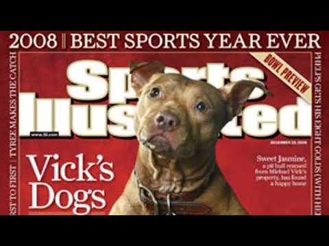 วีดีโอ: อะไร 5 ปีที่ผ่านมาได้รับการชอบสำหรับหนึ่งในสุนัขต่อสู้ Michael Vick ของ