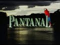 Pantanal 86